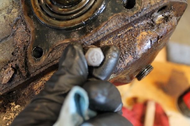 10 ford marked cover screws